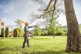 Best Seasonal Cleanup (Spring/Fall)  in Landover Hills, MD