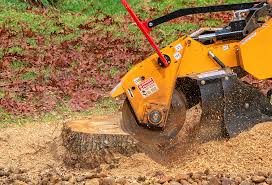 Best Soil Testing and Treatment  in Landover Hills, MD
